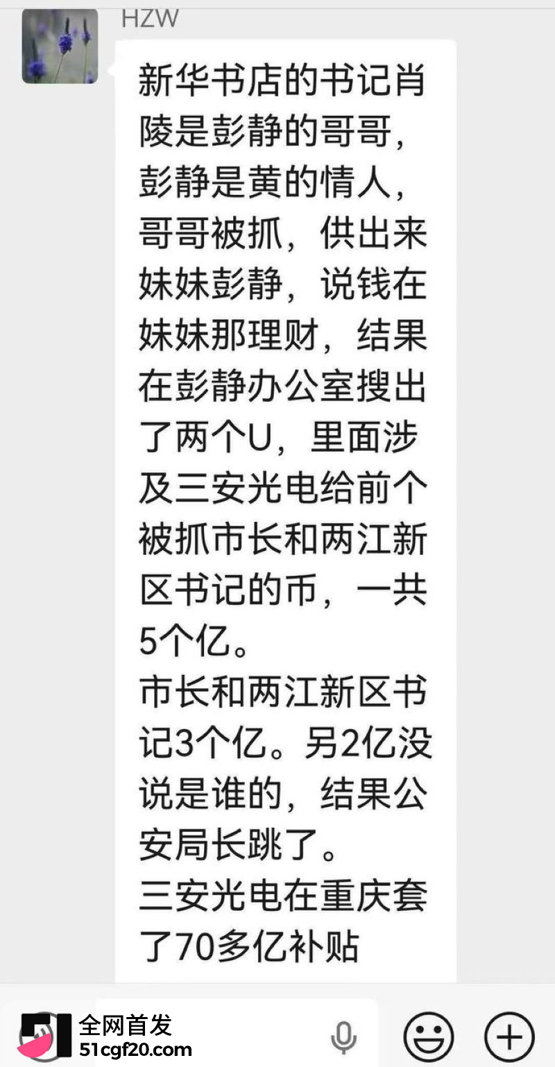 重庆原市长黄奇帆卸任近十年后被查 16