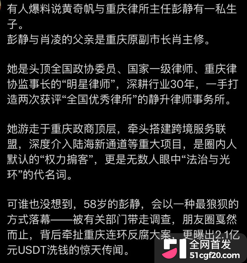 重庆原市长黄奇帆卸任近十年后被查 28