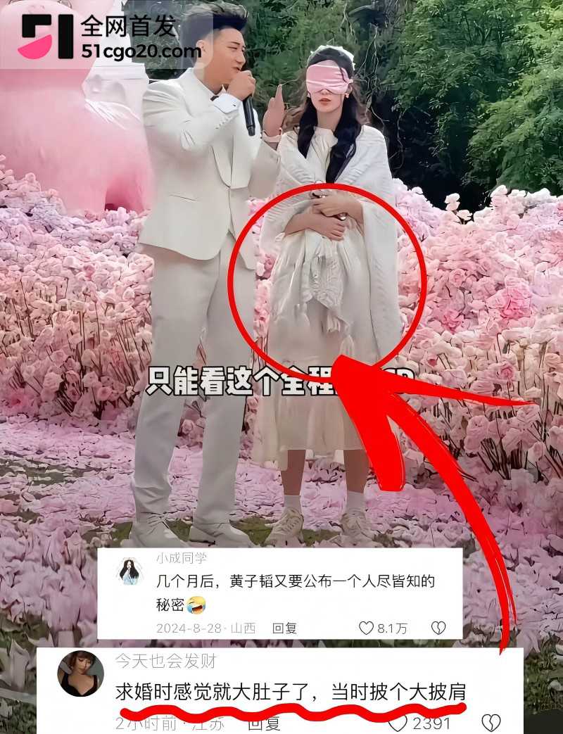黄子韬徐艺洋 奉子成婚 19