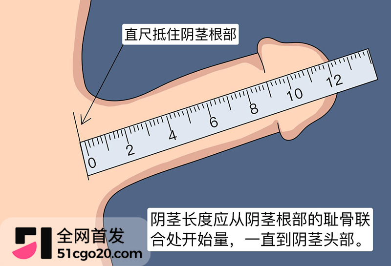 各省男性丁丁长度排行榜引爆全网 4 拷贝