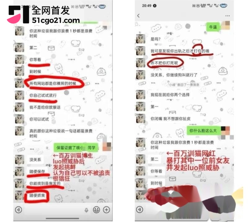1111聊天裸照威胁拼图enhanced
