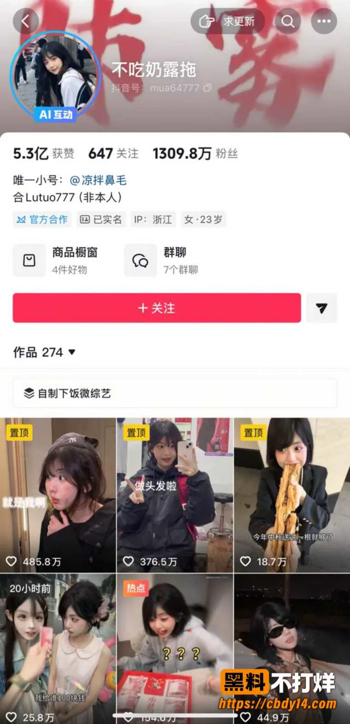 刘大炮2