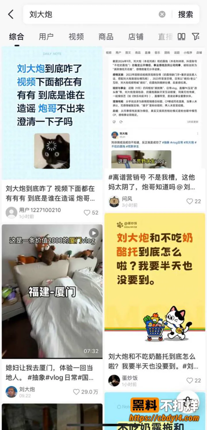 刘大炮10