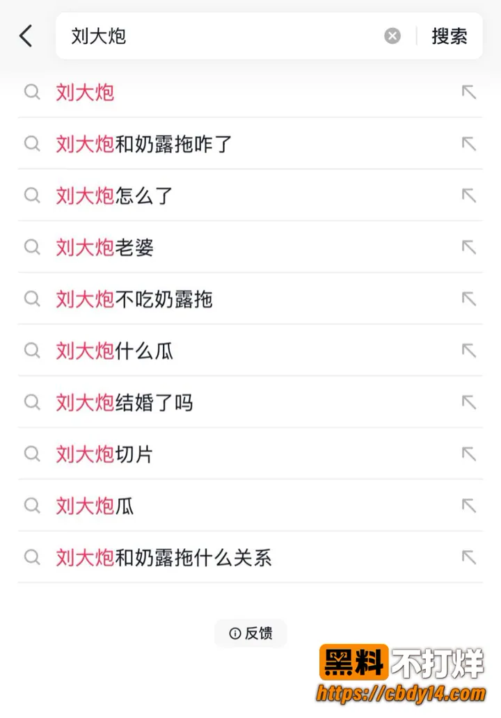 刘大炮13