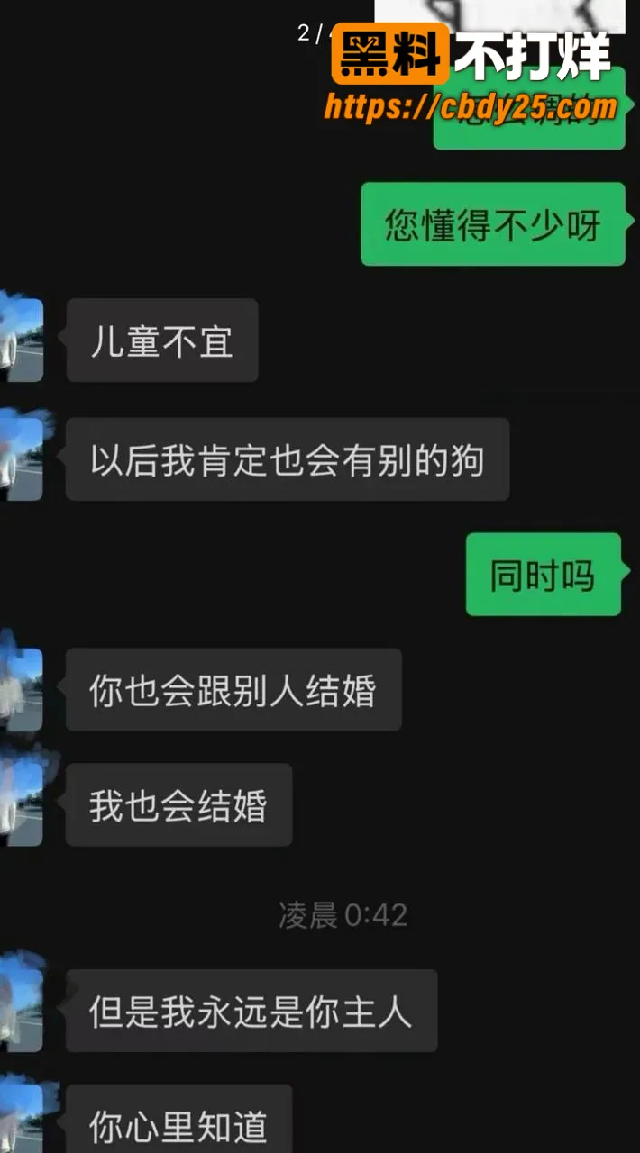悉尼年上男被曝脚踏多船 13