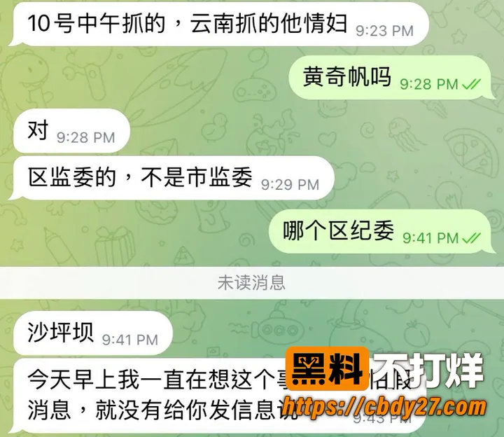 黄奇帆 6