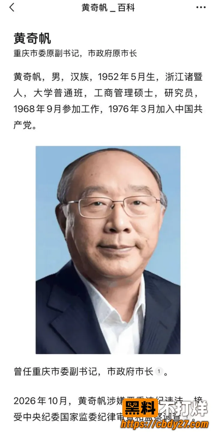 黄奇帆 21