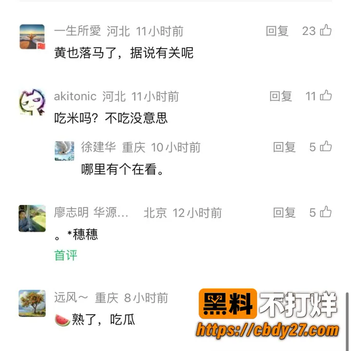 黄奇帆 31