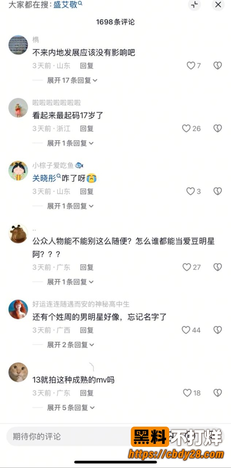 盛艾敬 6