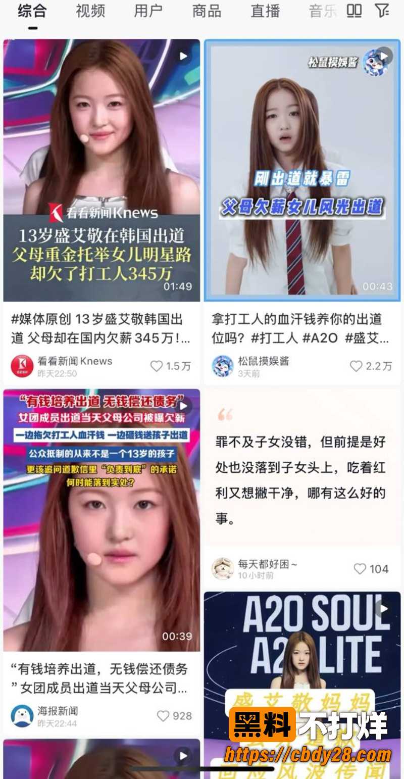 盛艾敬 13