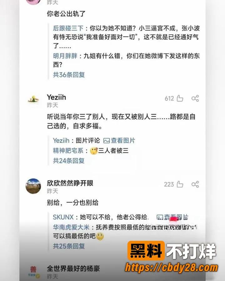 张小波 13