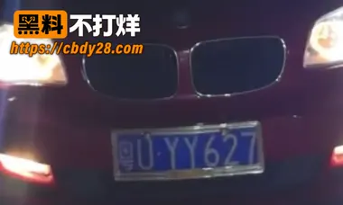 广东潮州宝马男深夜车内出轨 5