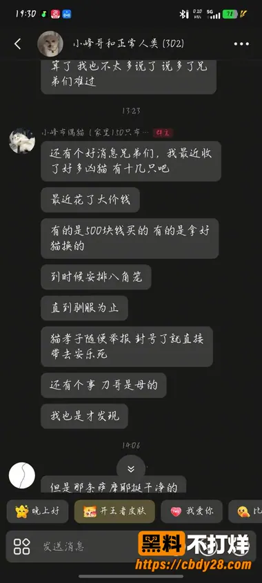 小峰8