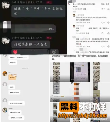 小峰12