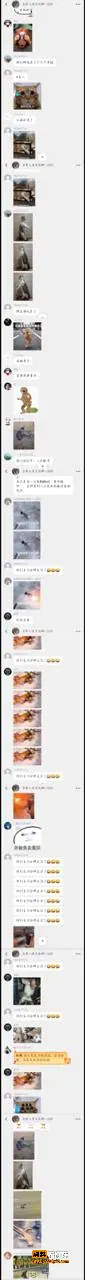 小峰19