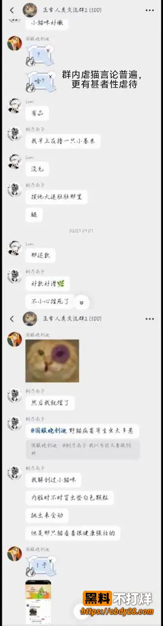 小峰22