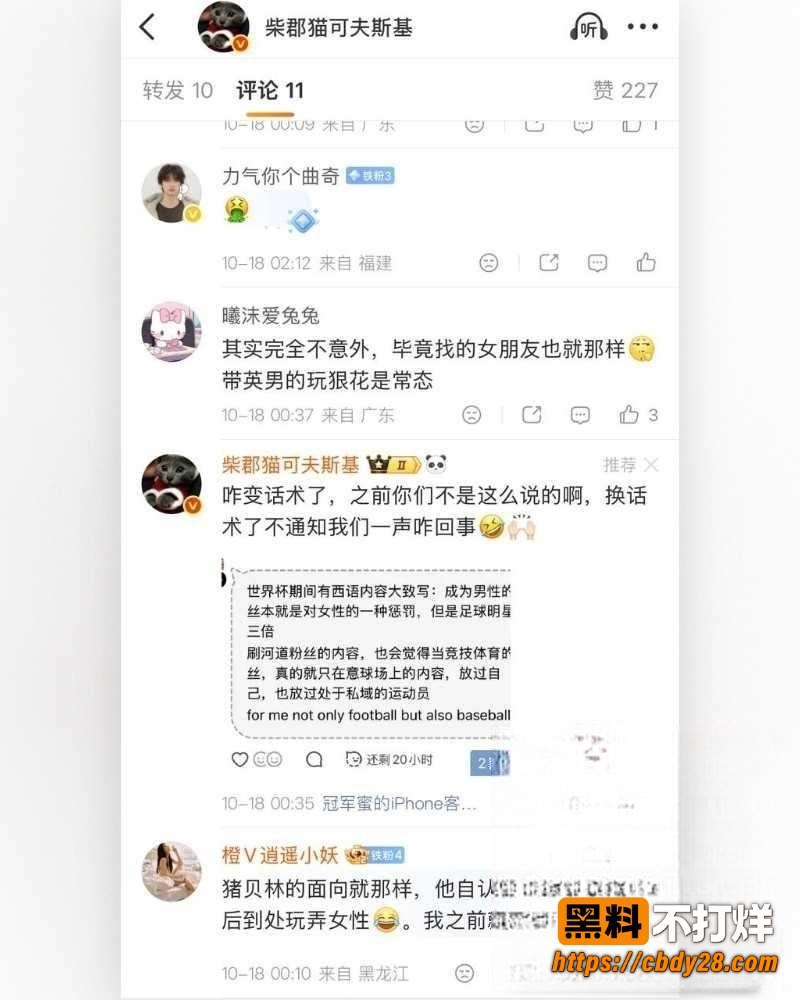 贝林厄姆 13