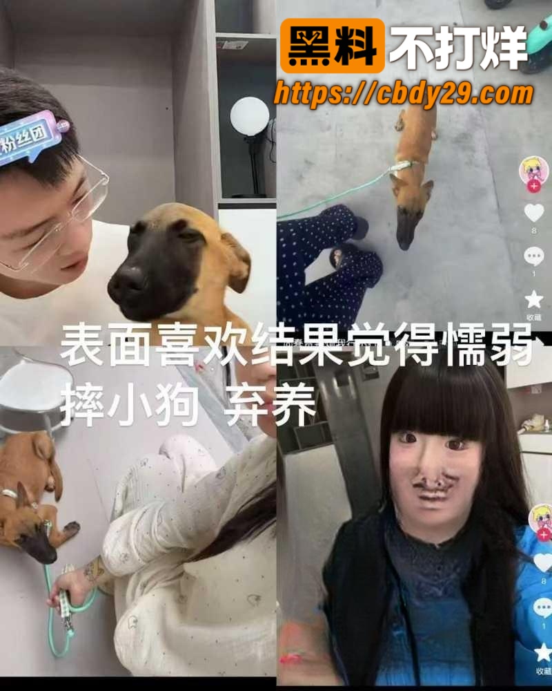 河南网红 付迪凯 彻底塌房 出轨视频曝光 19