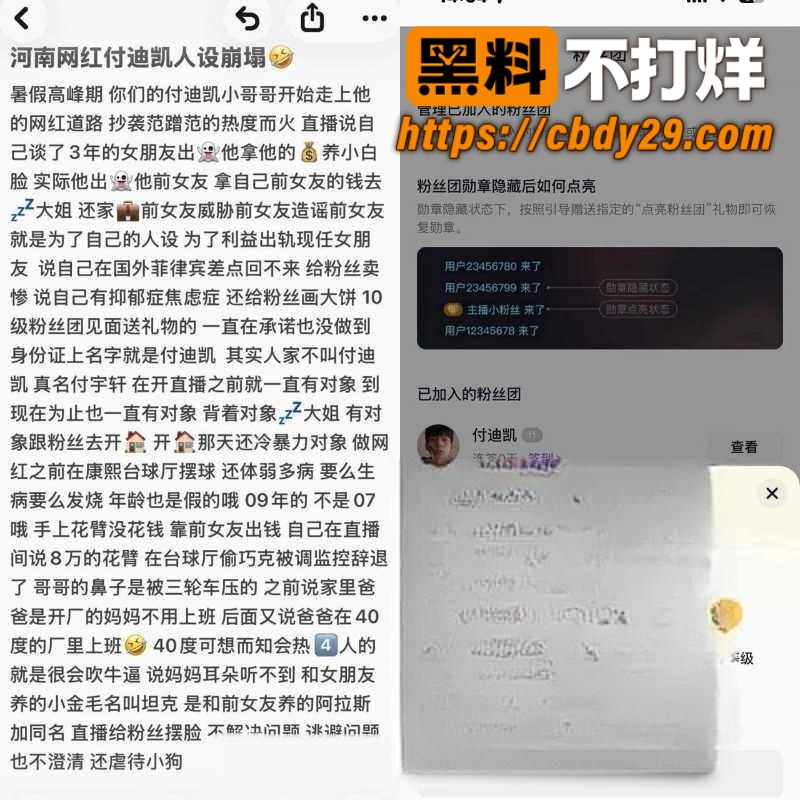 河南网红 付迪凯 彻底塌房 出轨视频曝光 26