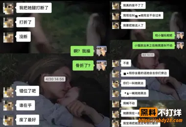 小H2