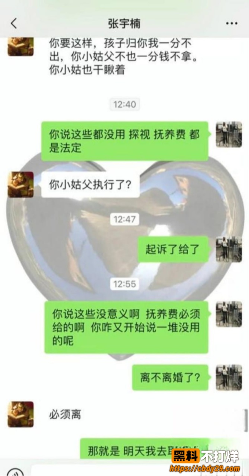 吉林广播电视台张宇楠婚内出轨21
