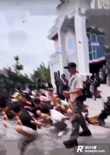 半岛电视台卧底调查 相关图片2