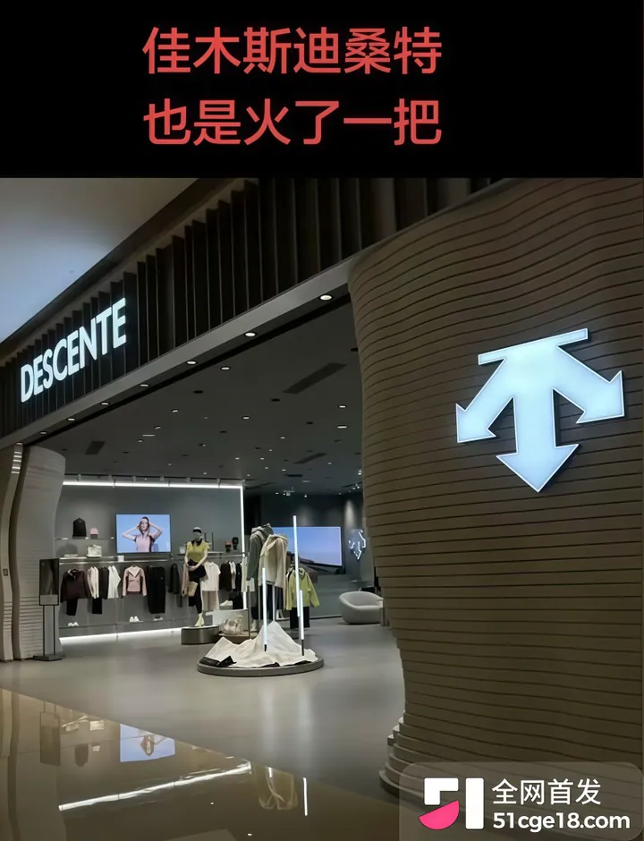 佳木斯迪桑特事件完整版视频7