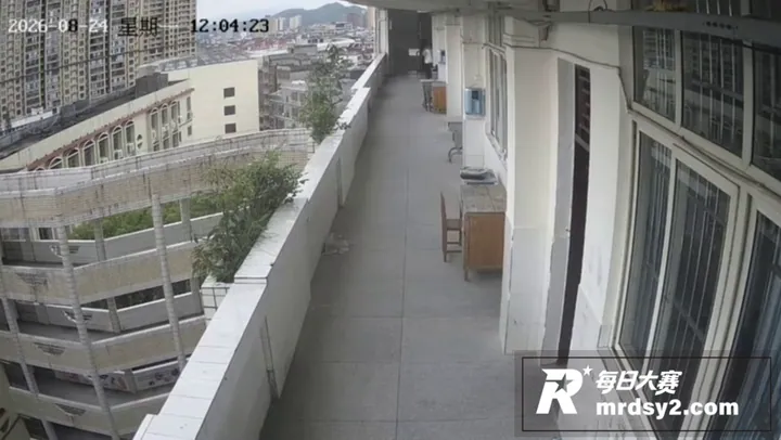 广西博白王力中学学生相关图片5