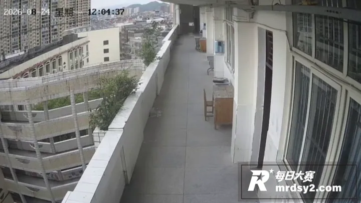 广西博白王力中学学生相关图片9