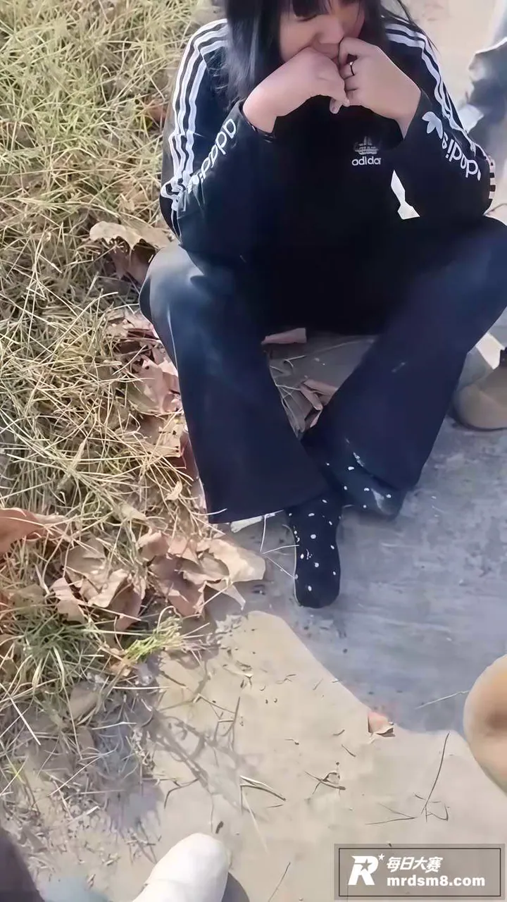 河南校园霸凌！少女被相关图片5